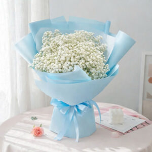 bo-hoa-bi-trang-dep-nhat