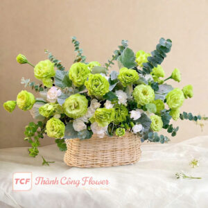 gio-hoa-tone-xanh-la-hot-trend