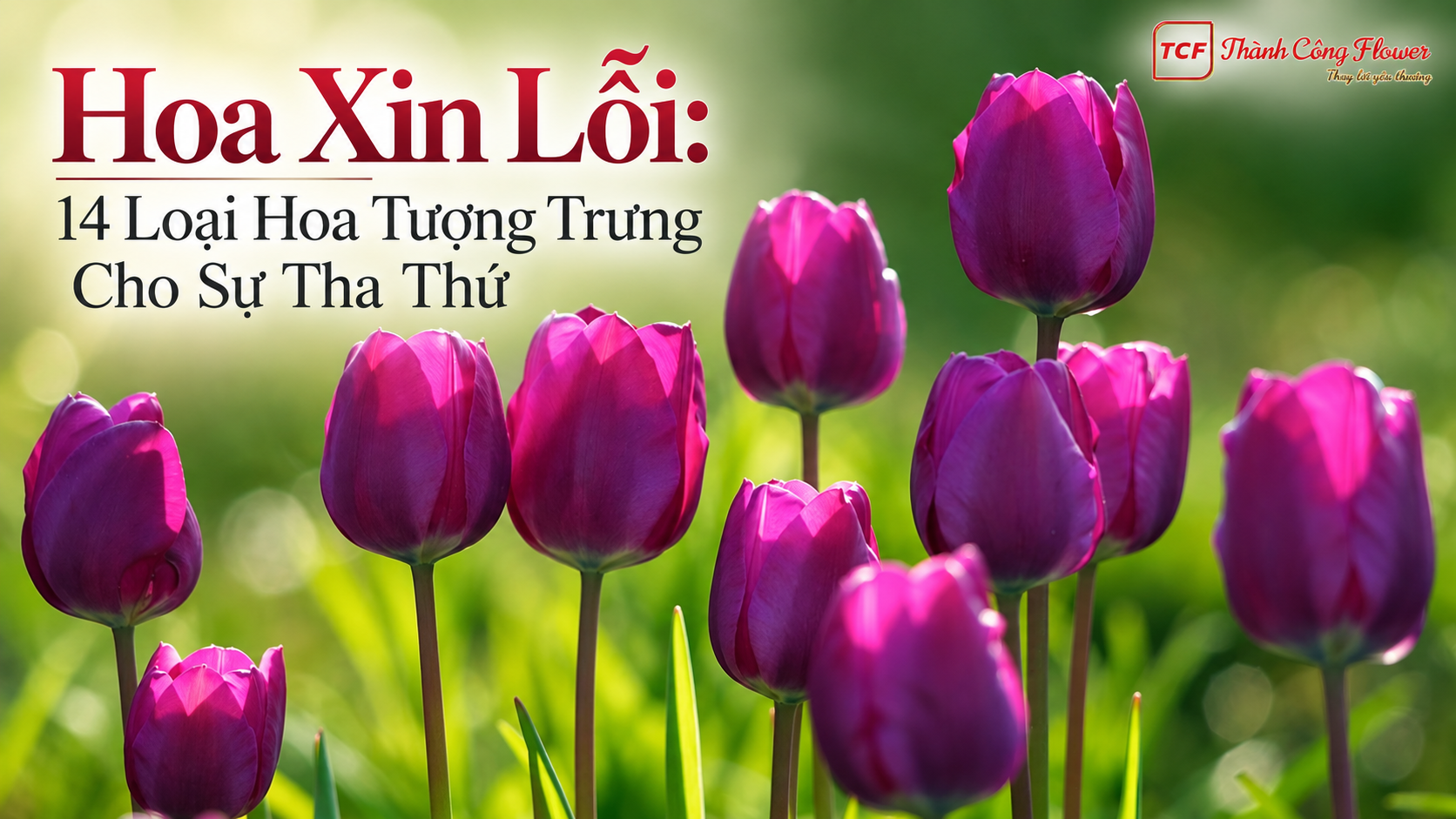 hoa-xin-loi