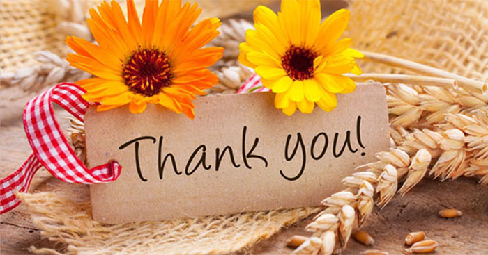 cach-chon-hoa-cam-on