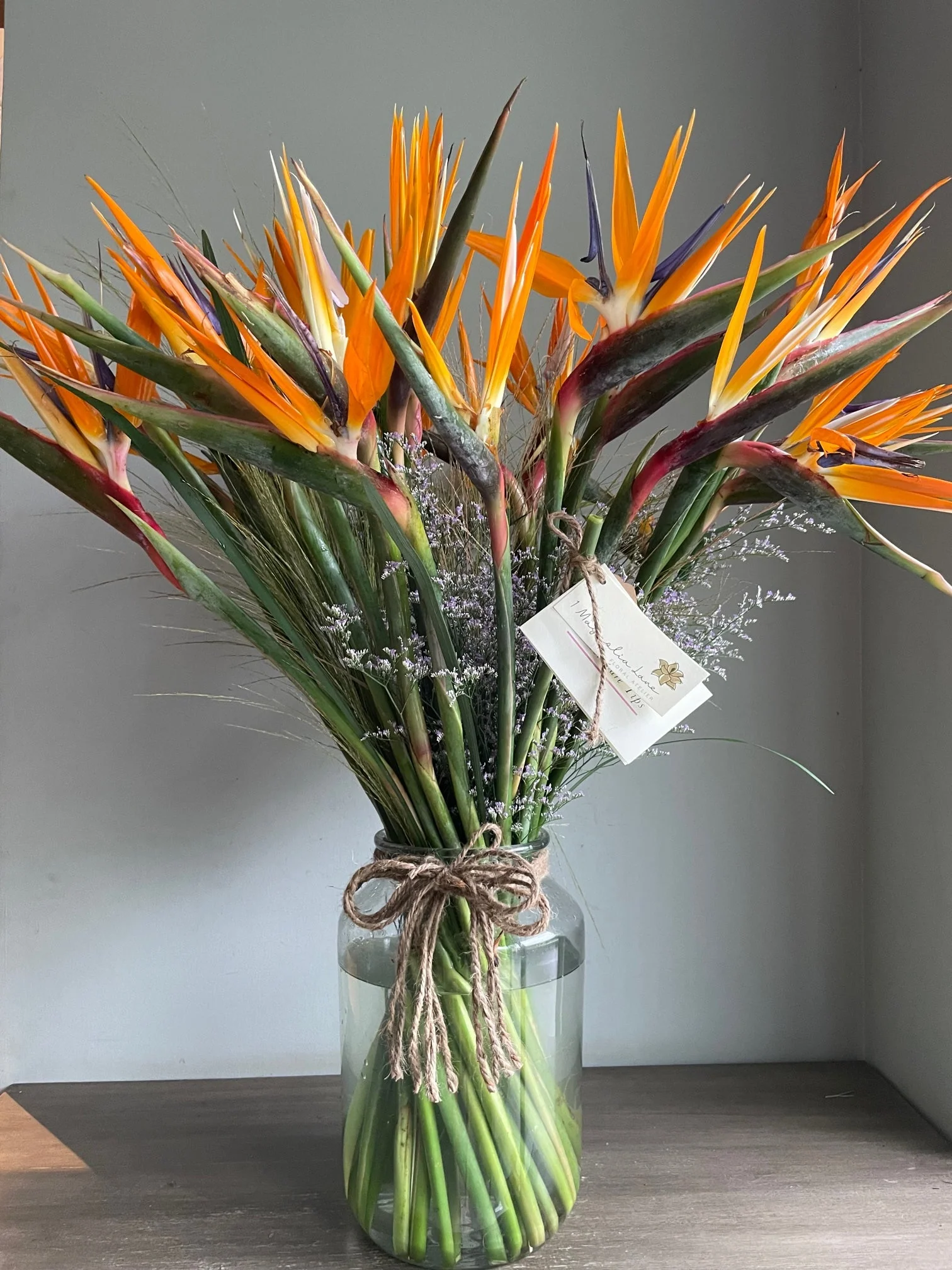 cach-cam-hoa-thien-dieu-tuoi-lau