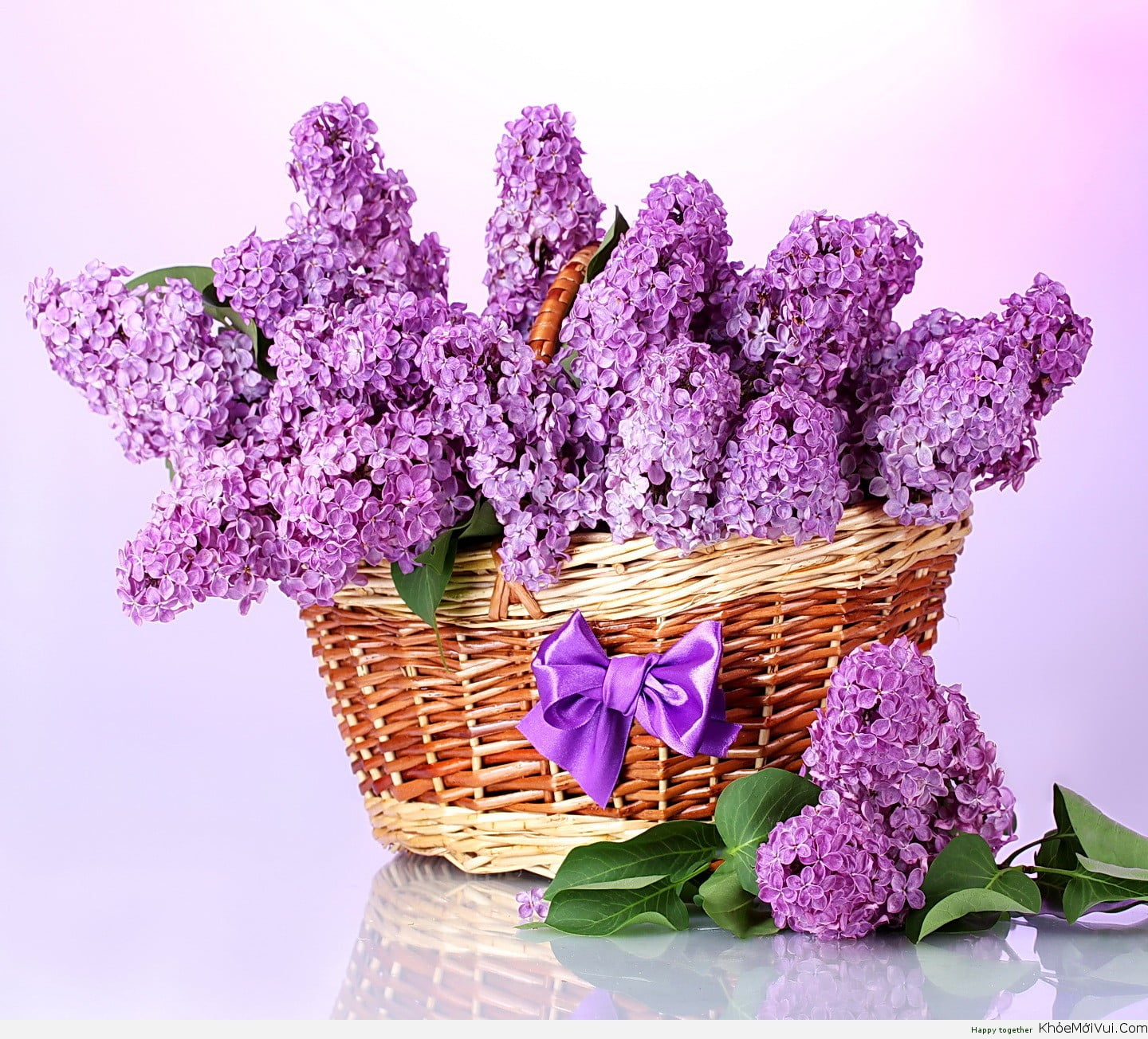 hoa-an-duoc-tu-dinh-huong