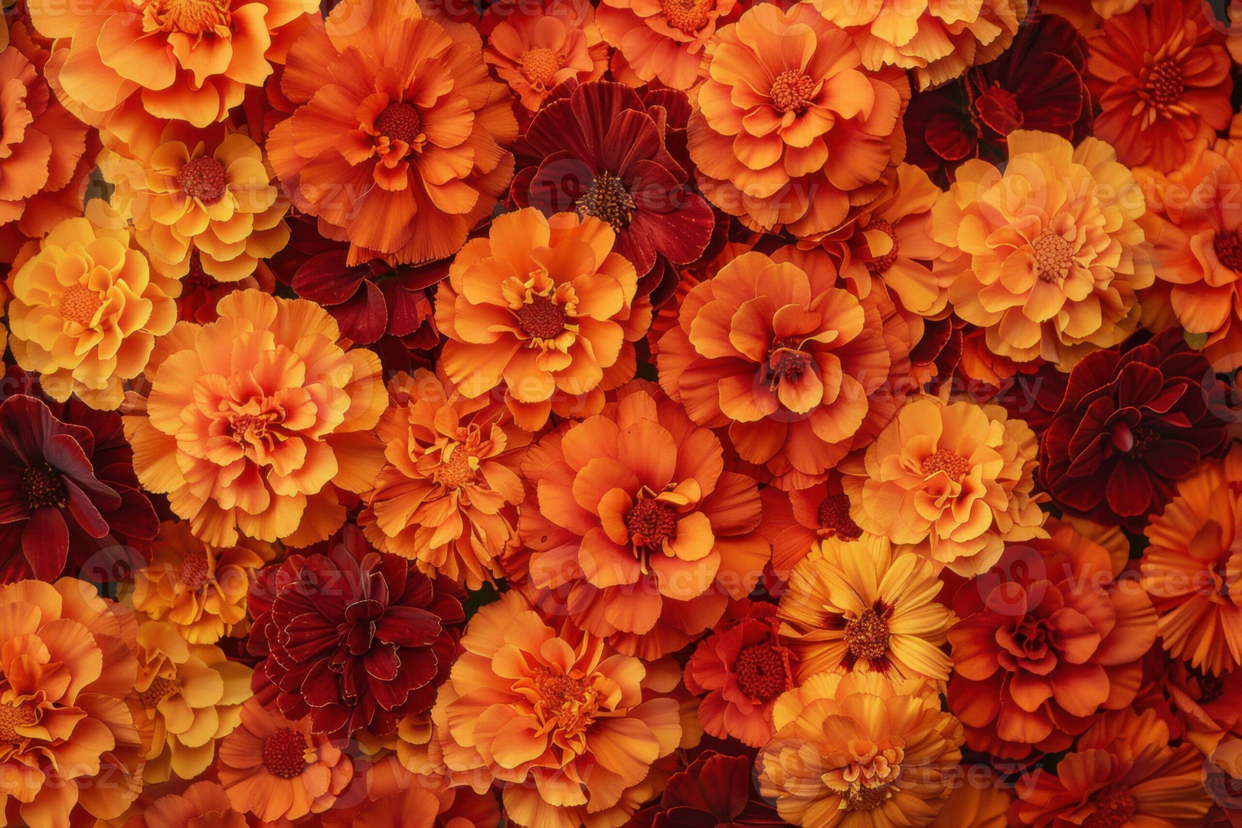 loai-hoa-mau-cam-dep-nhat