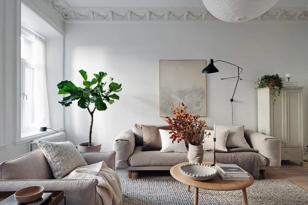 vi-tri-dat-cay-canh-trong-phong-khach