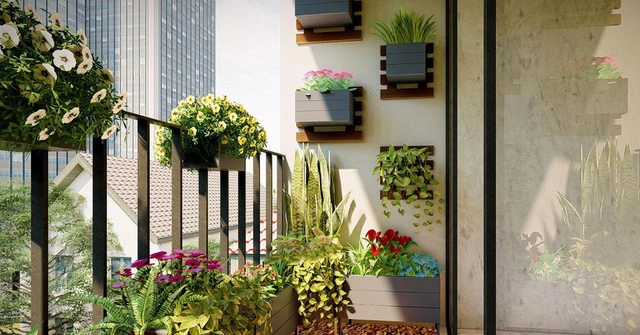 cay-phong-thuy-trong-ngoai-ban-cong