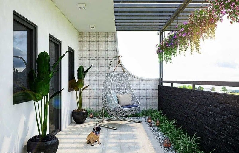 cay-trong-cho-ban-cong