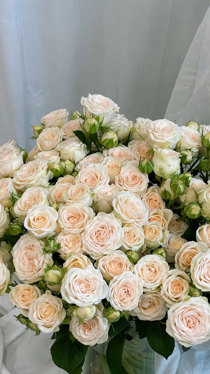 y-nghia-so-luong-hoa-hong-champagne