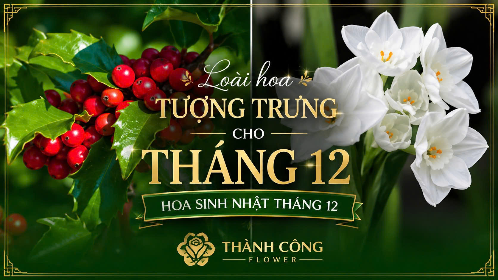 loai-hoa-tuong-trung-cho-thang-12