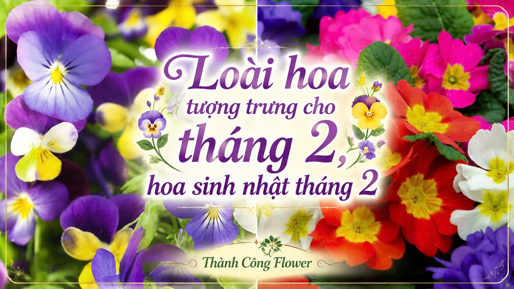 loai-hoa-tuong-trung-cho-thang-hai