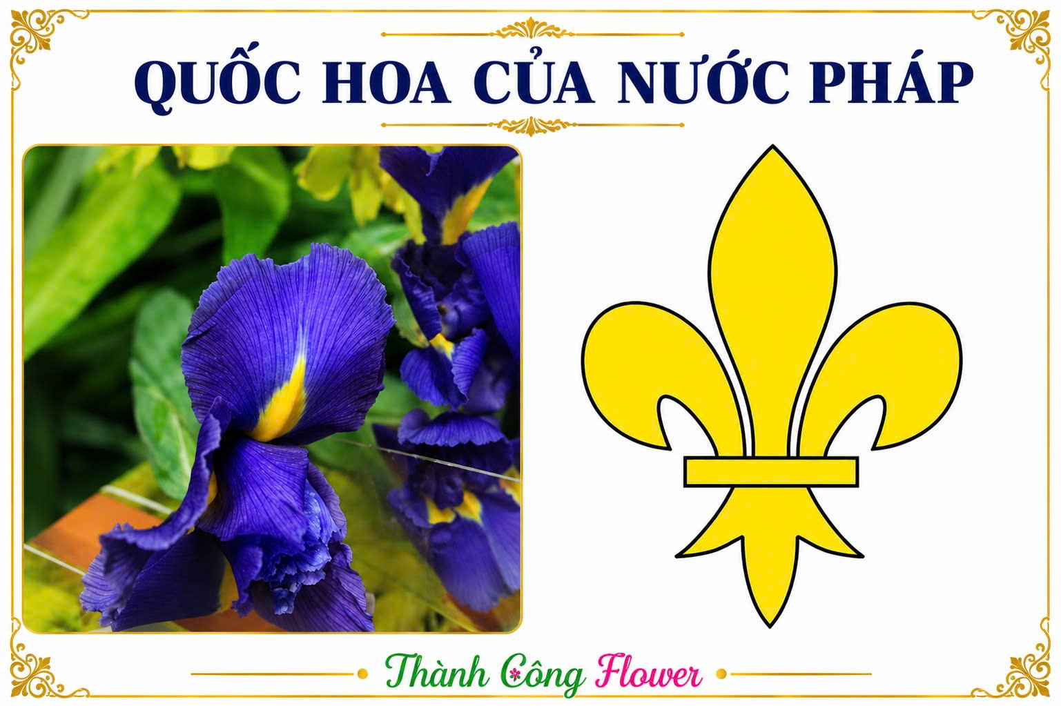 quoc-hoa-cua-nuoc-phap