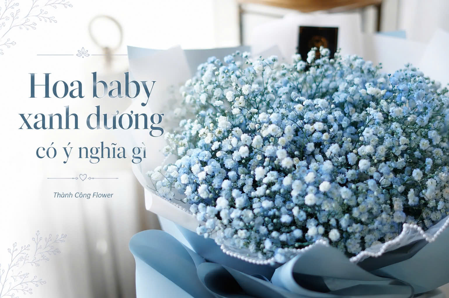 avt-hoa-baby-xanh-duong-co-y-nghia-gi