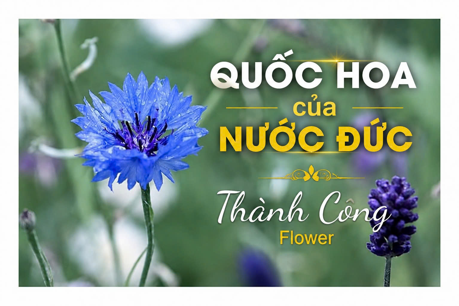 avt-quoc-hoa-cua-nuoc-duc