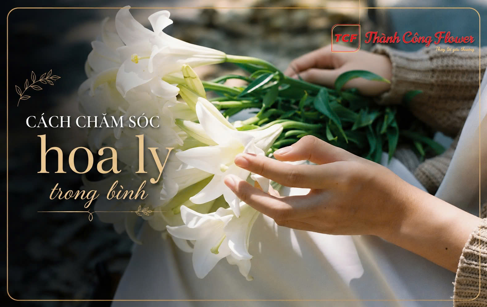 cach-cham-soc-hoa-ly-trong-binh