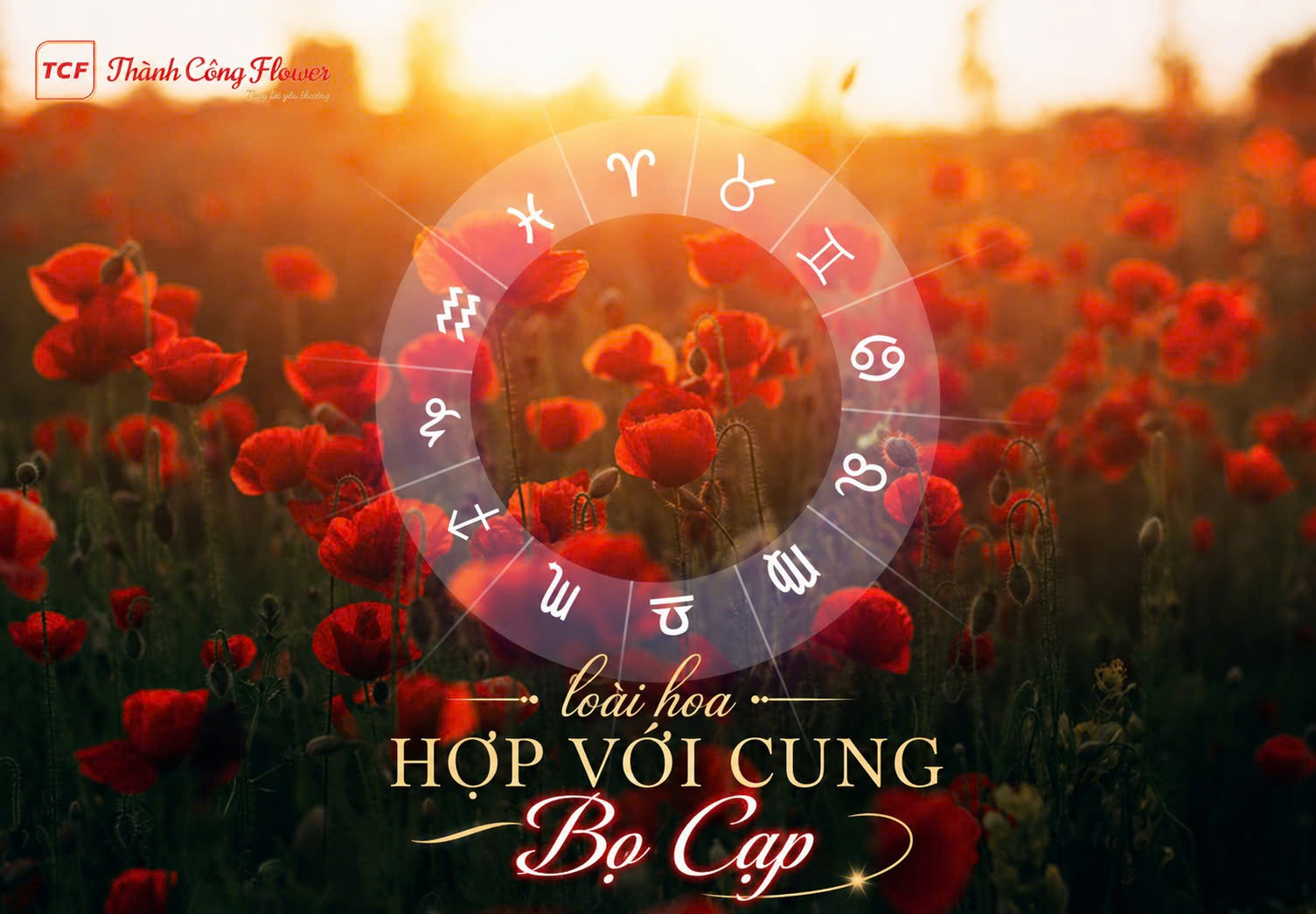 loai-hoa-hop-voi-cung-bo-cap-1