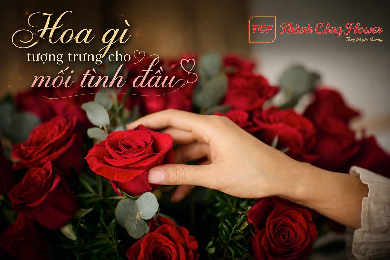loai-hoa-tuong-trung-cho-moi-tinh-dau