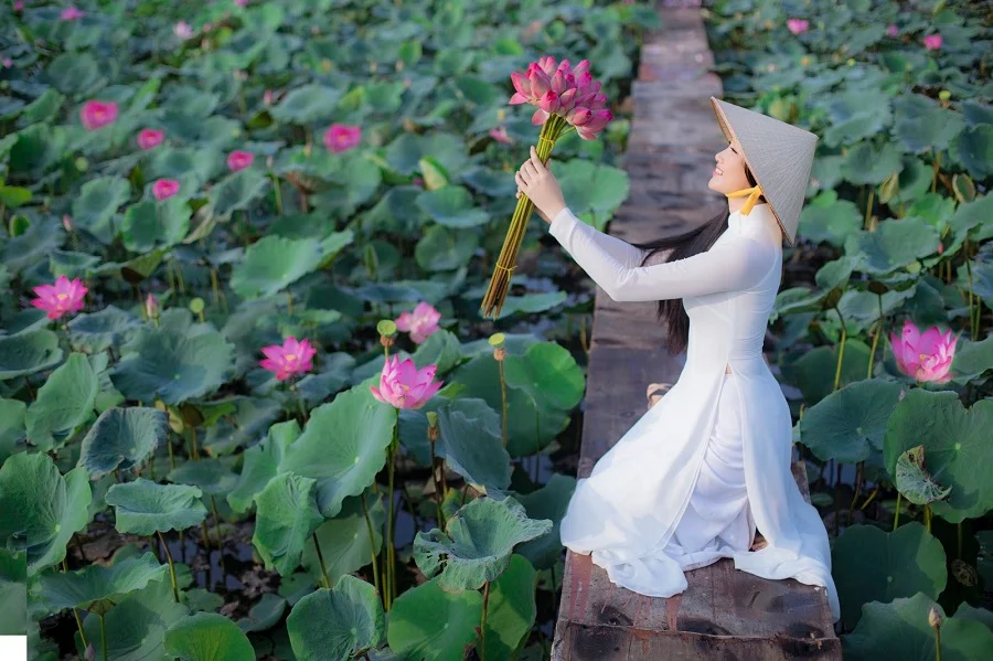 quoc-hoa-cua-viet-nam