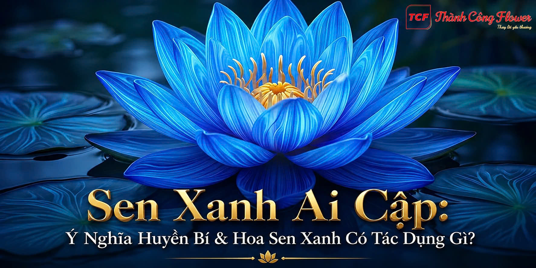 y-nghia-sen-xanh-ai-cap
