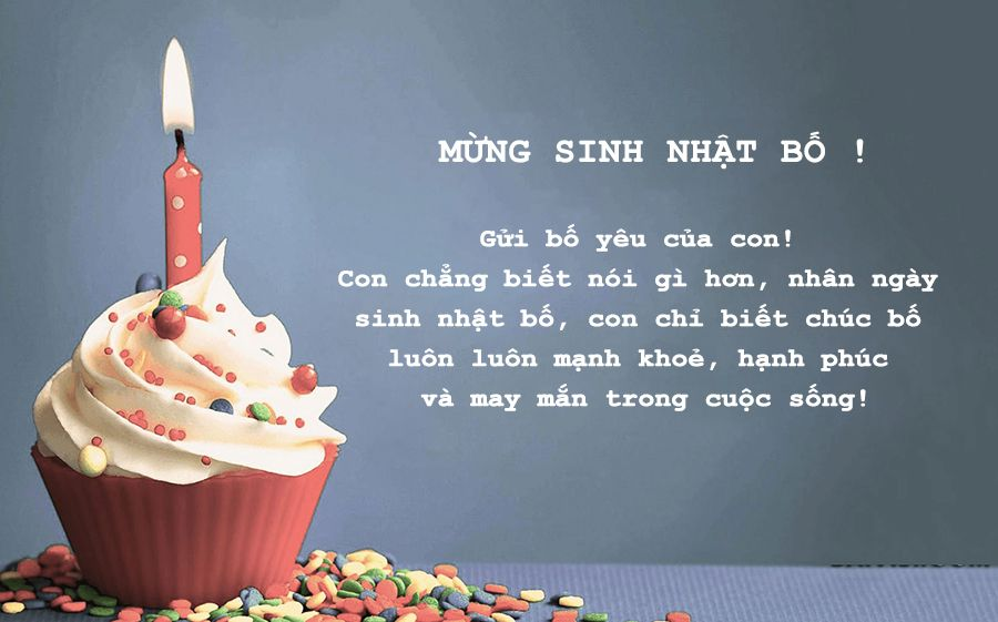cau-chuc-mung-sinh-nhat-bo-hay