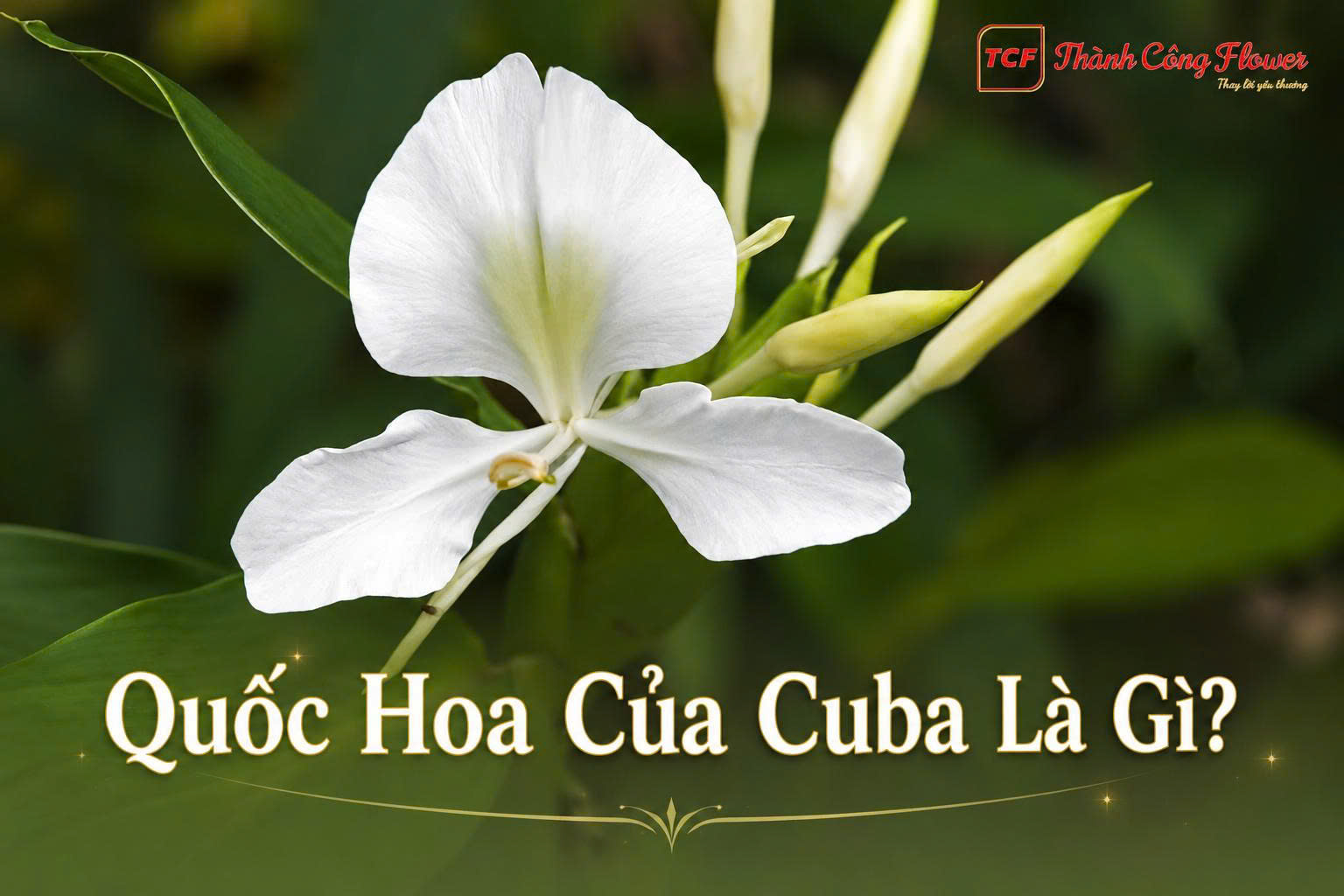 quoc-hoa-cua-cuba