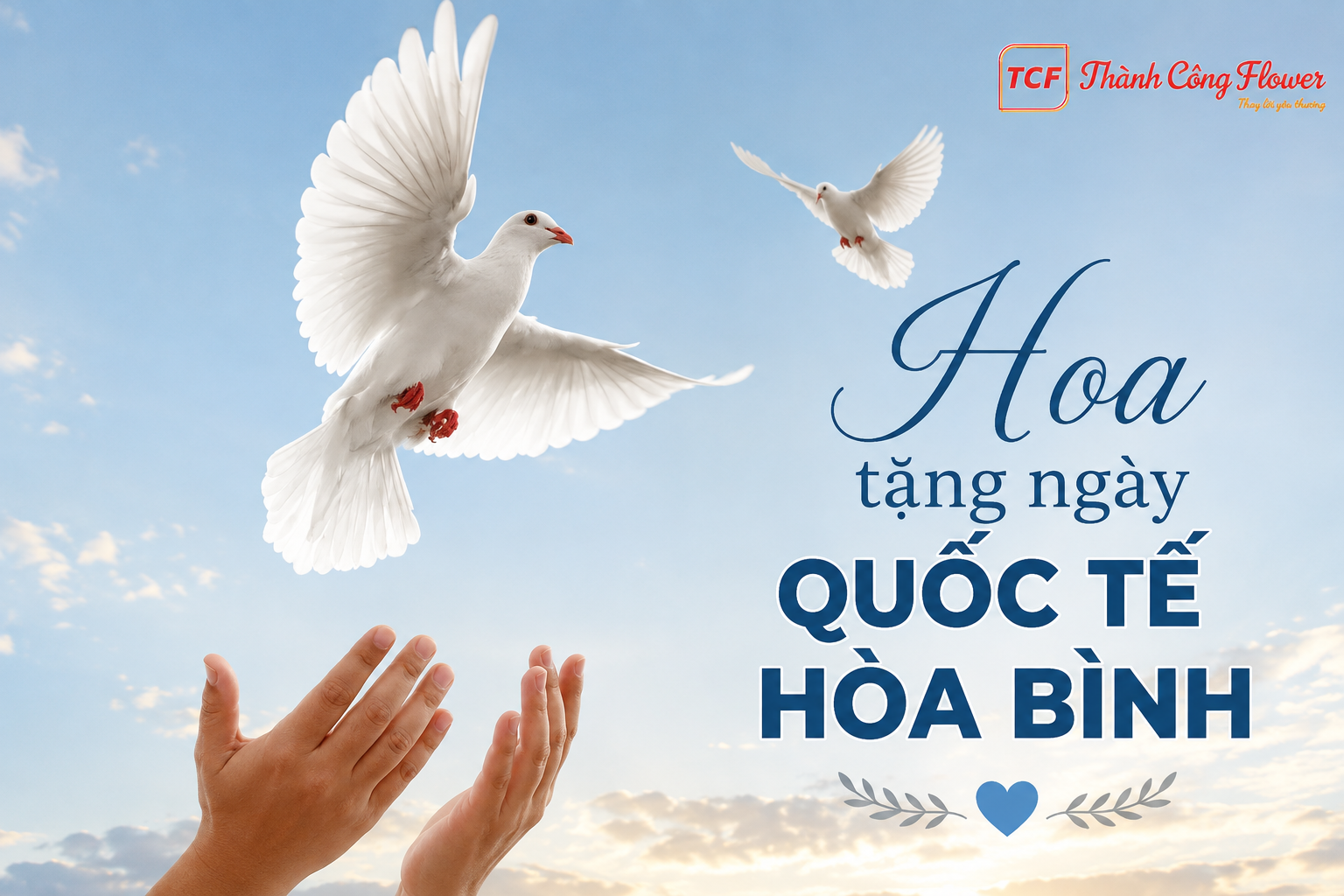 hoa-tang-ngay-quoc-te-hoa-binh