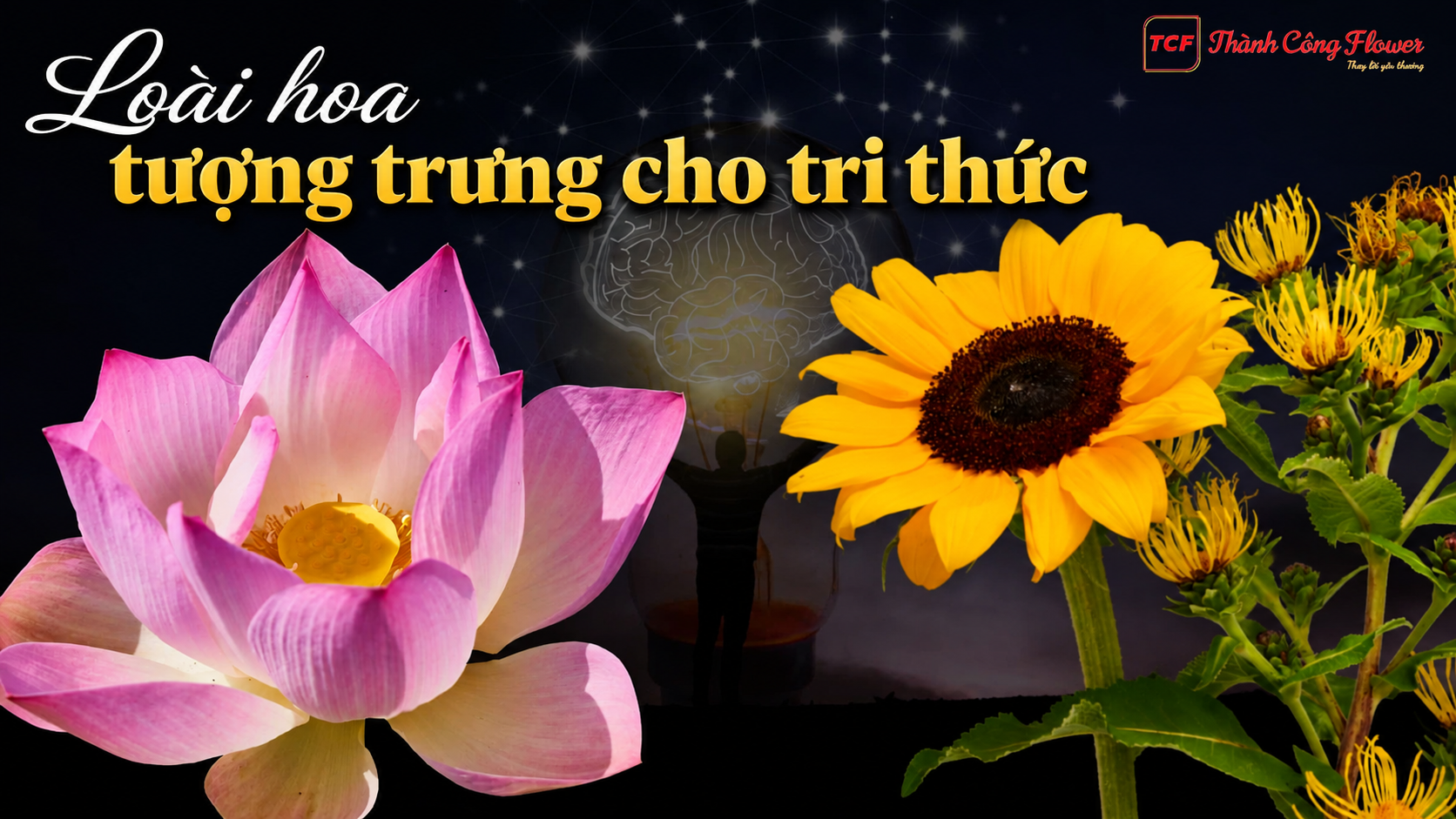 loai-hoa-tuong-trung-cho-tri-thuc-tri-tue